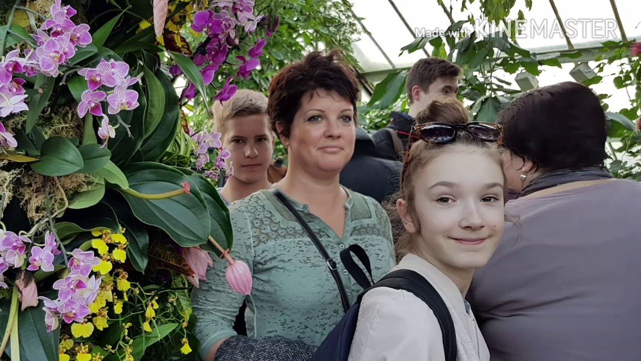 Kew Garden 2018