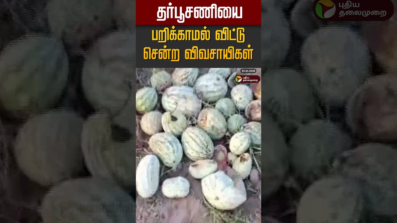 தர்பூசணியை பறிக்காமல் விட்டு சென்ற விவசாயிகள் #shorts