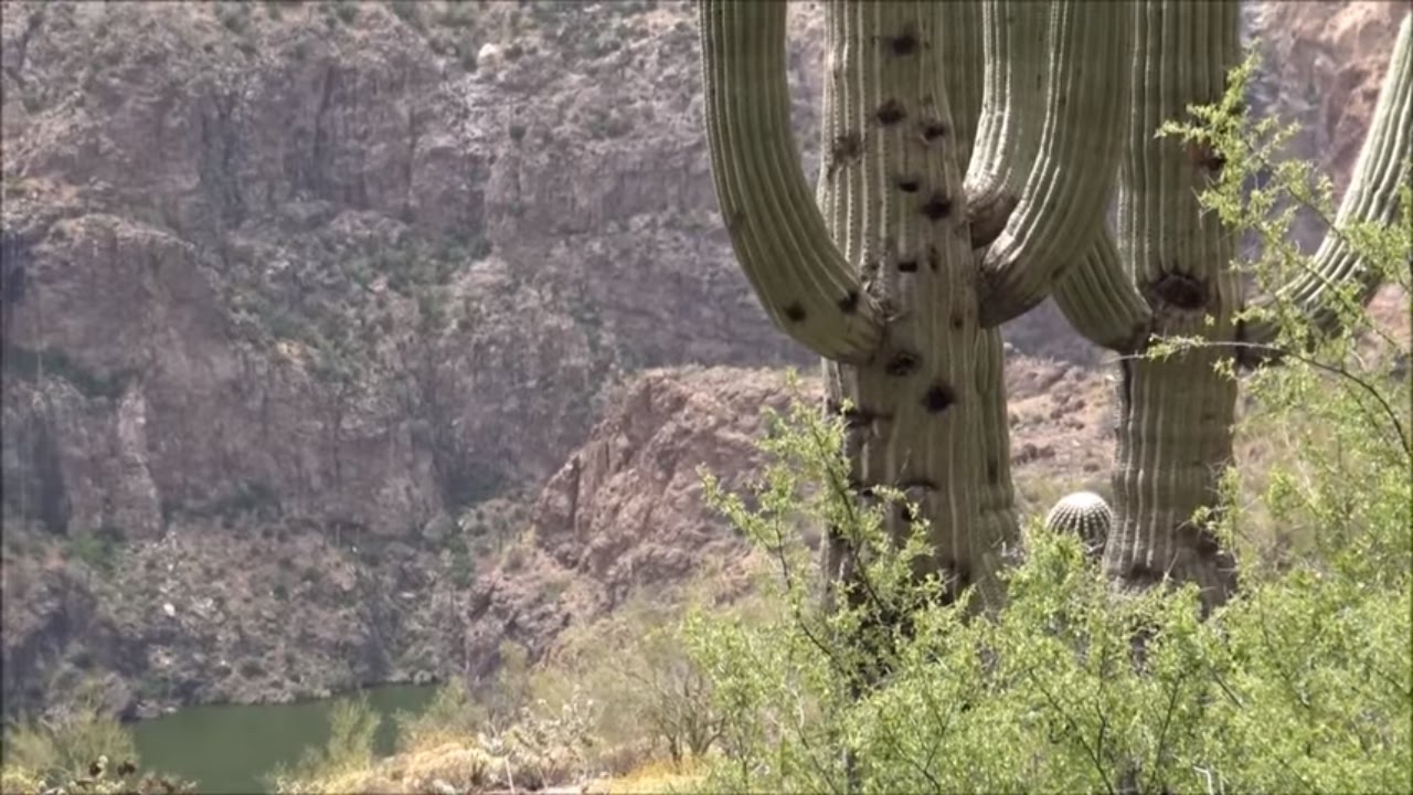 Salt River Cave Massacre: Skeleton Cave Explored (part 2 of 2)