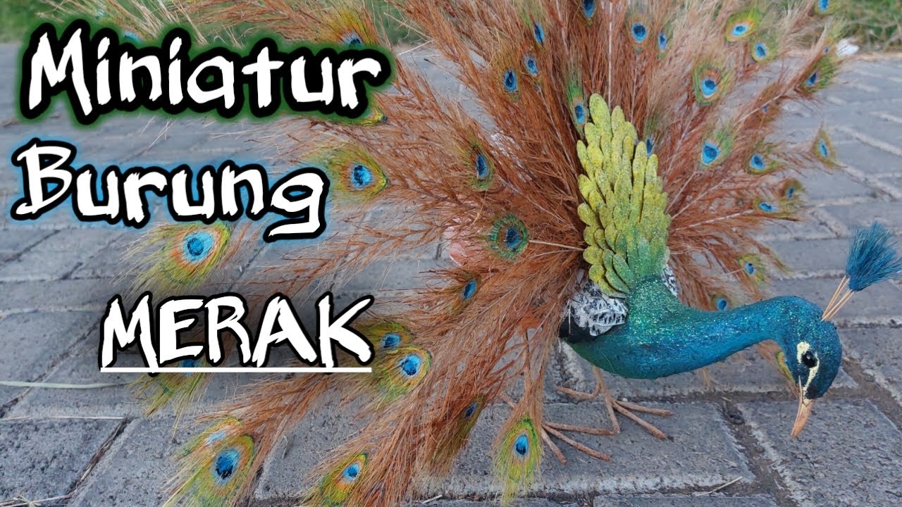 Ekor burung MERAK yang indah dari sabut kelapa#Miniatur burung merak #
