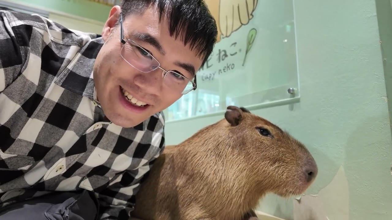 Only in Japan: The Capybara Cafe Experience