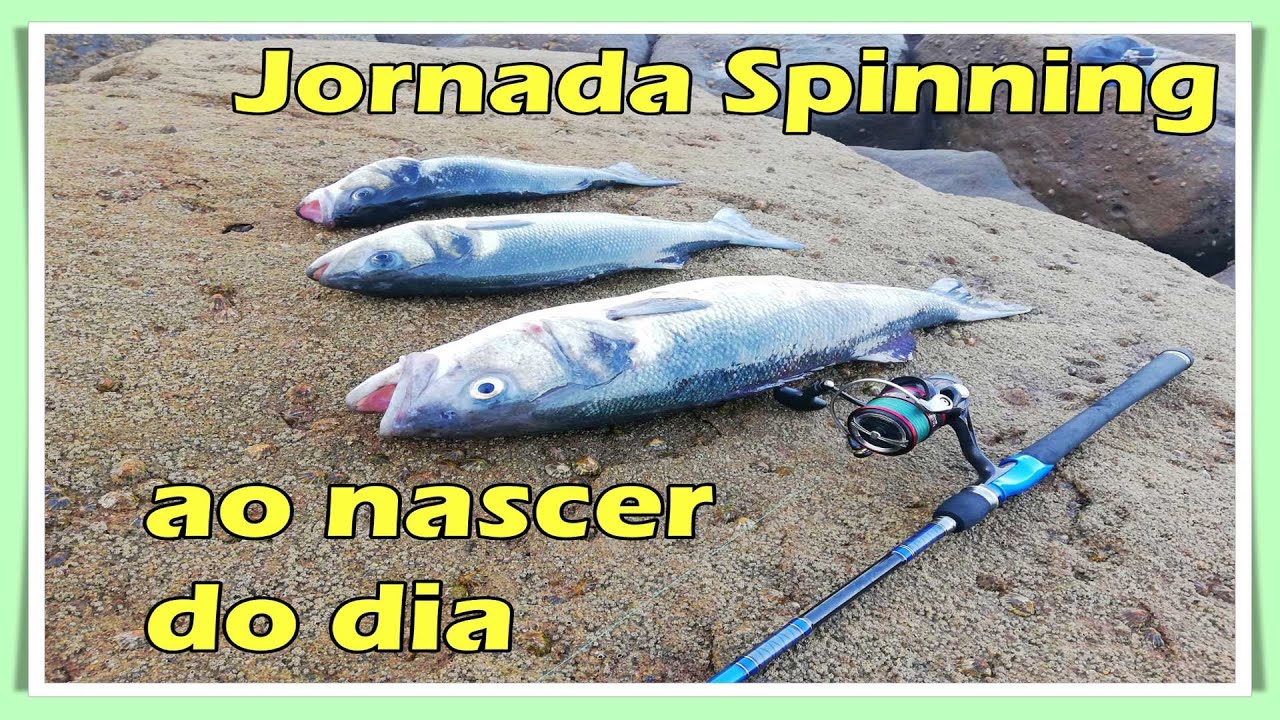 ✅ Spinning ao Nascer 🌅 do Dia 🎣