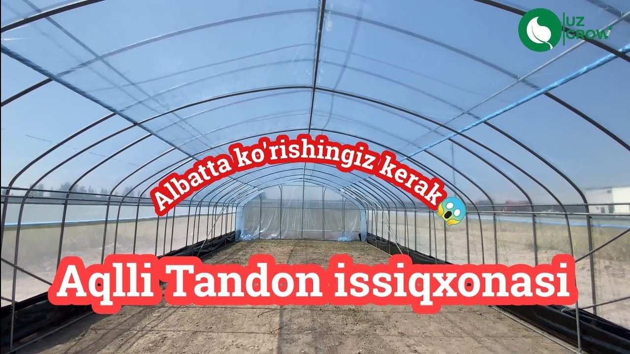 Aqlli Tandon issiqxonasi O'zbekistonda