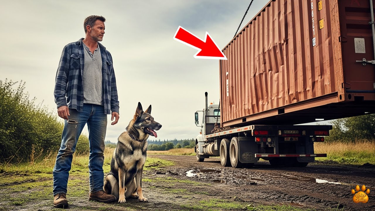 Everyone Laughed When the Veteran Moved Into a Rusty Container — Then His Dog Changed Everything