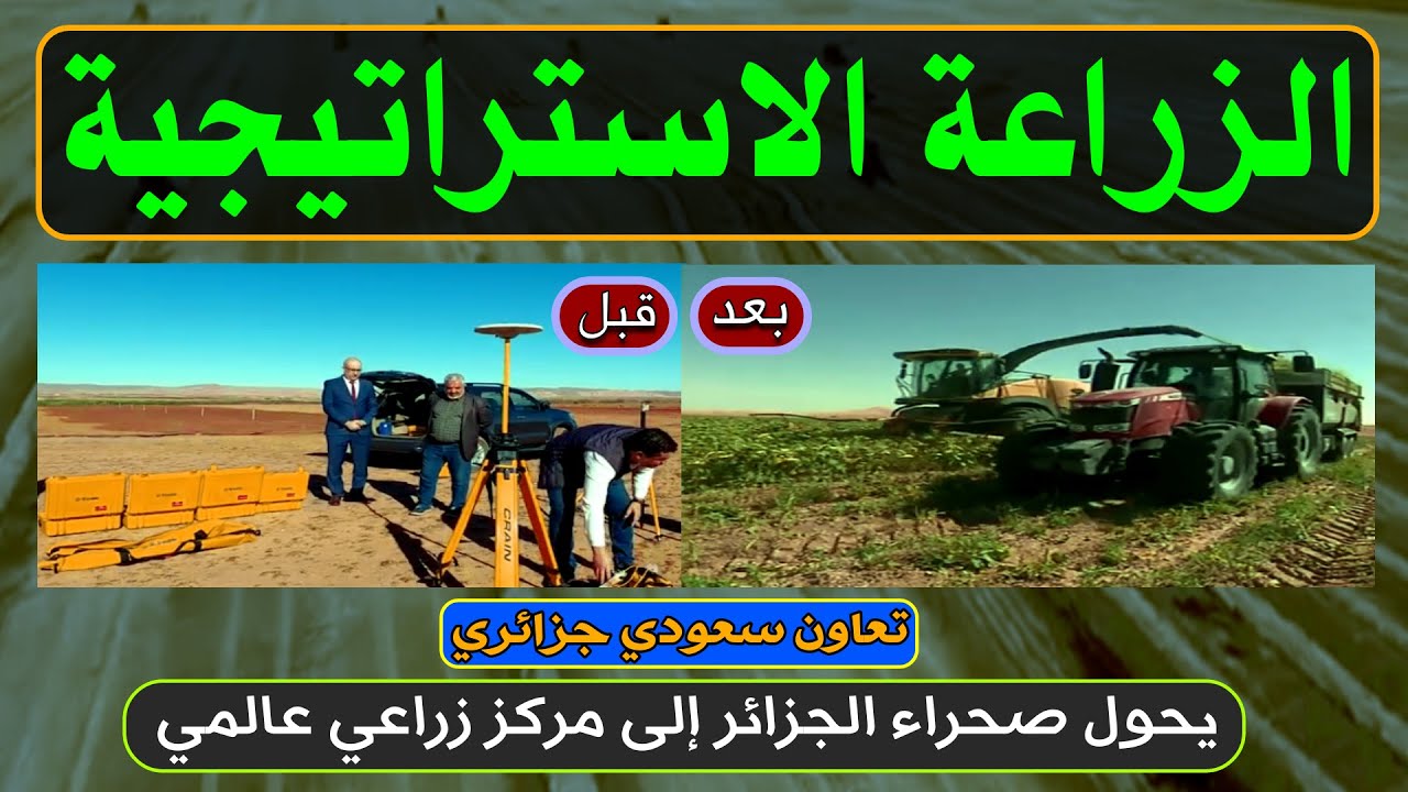الزراعة الإستراتيجية تحوّل صحراء الجزائر إلى مركز زراعي عالمي.. تعاون جزائري سعودي
