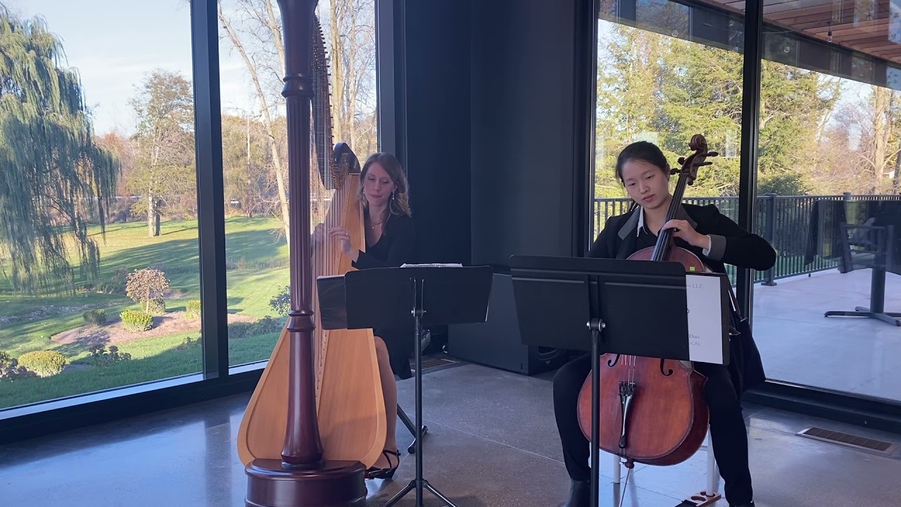 Can’t Help Falling in Love, harp and cello duo ~ Tiffany Jones, harpist