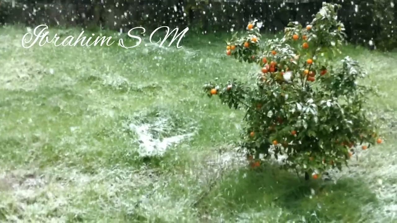 Snowing in Southern California For The First Time in Deacades - ثلوج في جنوب كاليفورنيا لم تحصل من