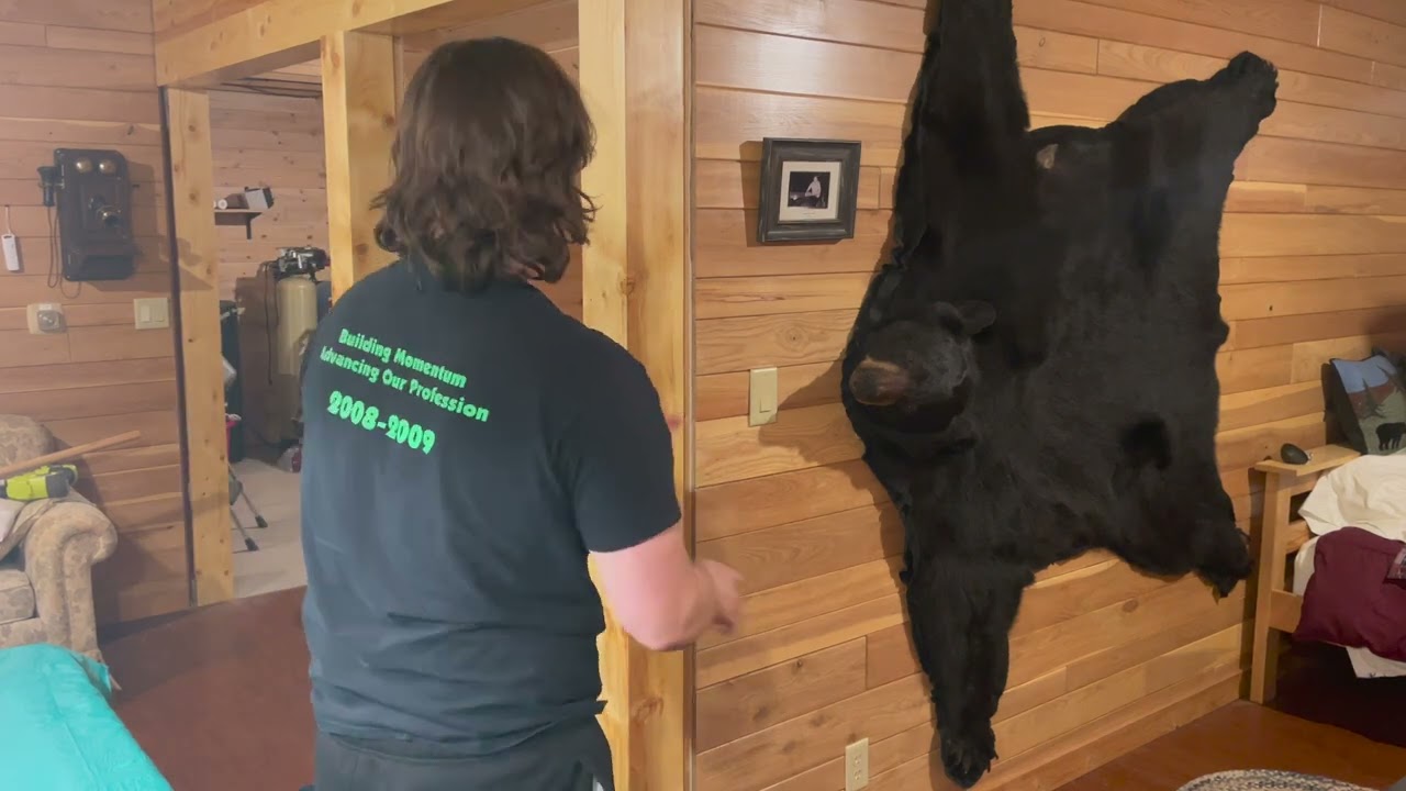 Off Grid Cabin basement update - Beam & Posts