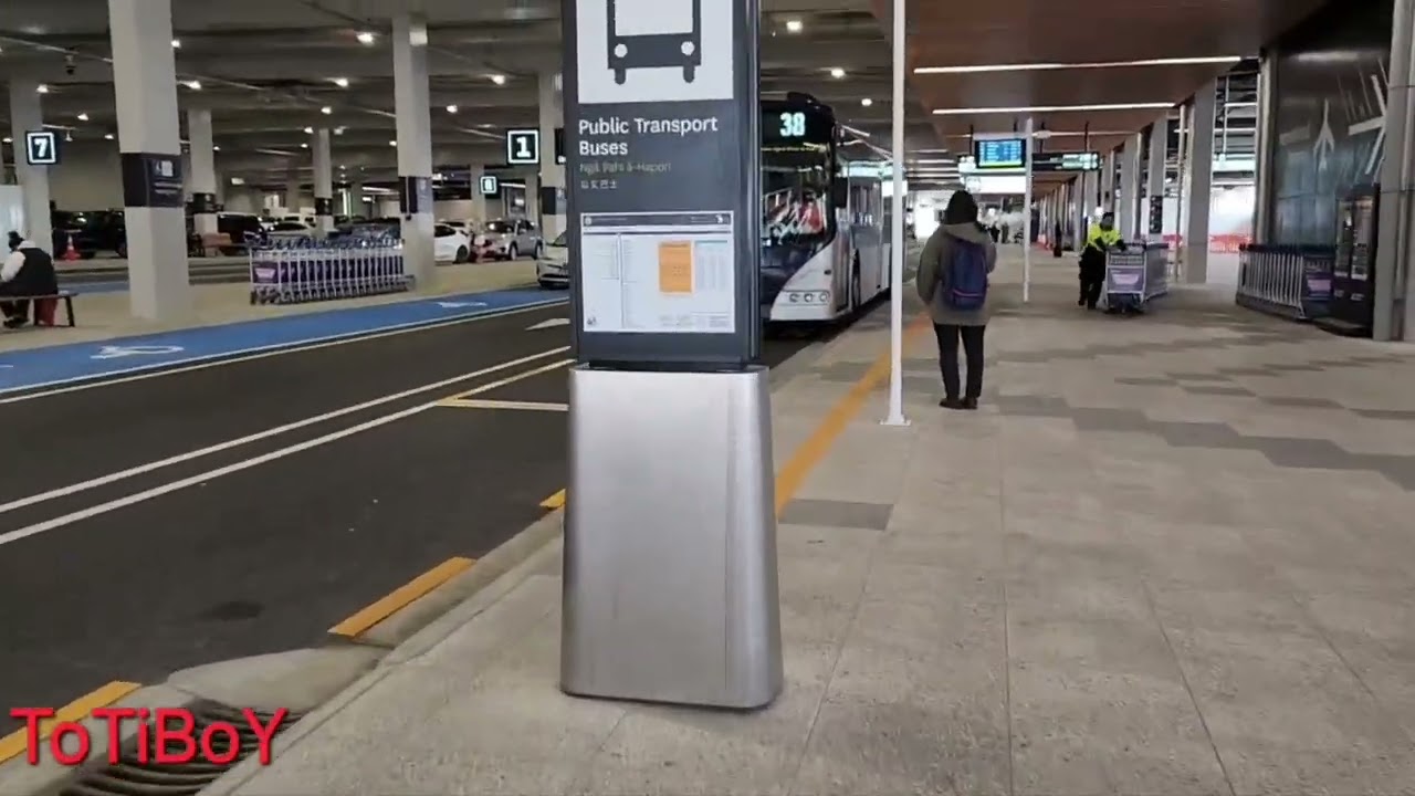 Budget Friendly Auckland: $6 Airport to City Transfer