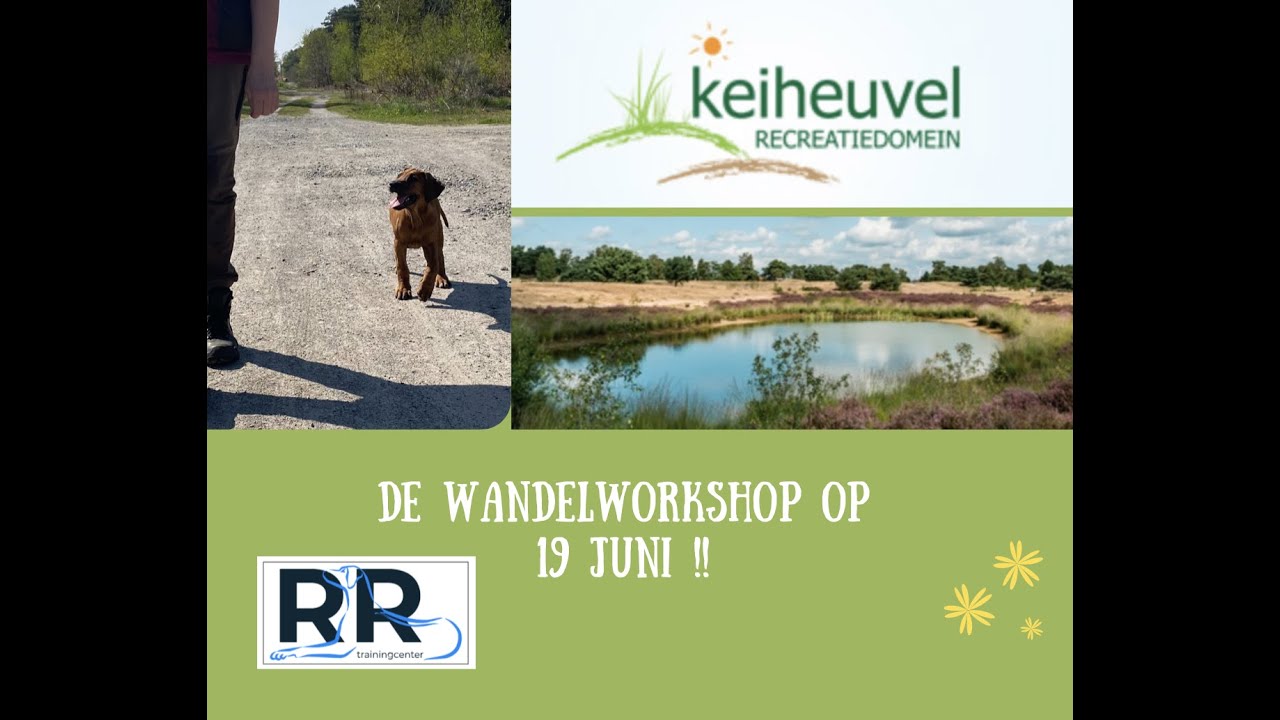Rhodesian Ridgeback wandelworkshop op 19 juni 2021 !!