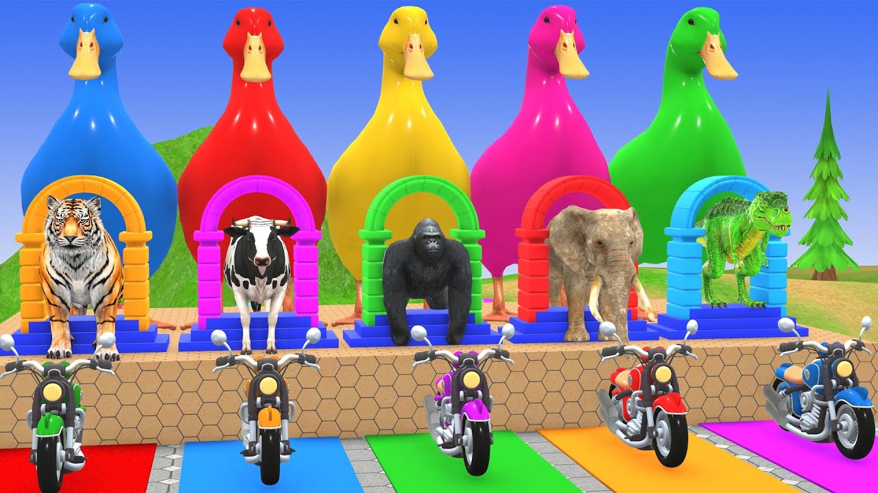 Long Slide Game with Cow Elephant Gorilla Hippopotamus Tiger 3d Animal Game Funny 3d Animals
