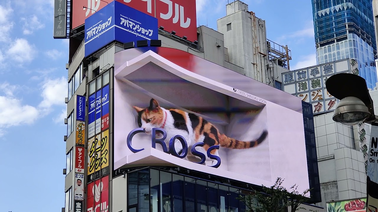 新宿東口3D猫[無重力編]フルバージョン