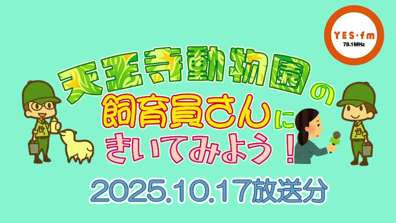 maido station 『天王寺動物園の飼育員さんにきいてみよう！』令和7年10月17日放送回（マレーグマ）
