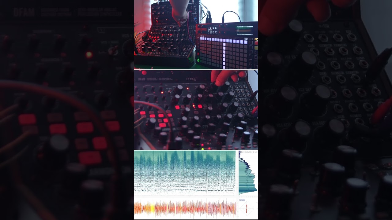 Jam with Moog DFAM, Mother 32 and Subharmonicon 🤩👌 #synth #modularsynth #techno