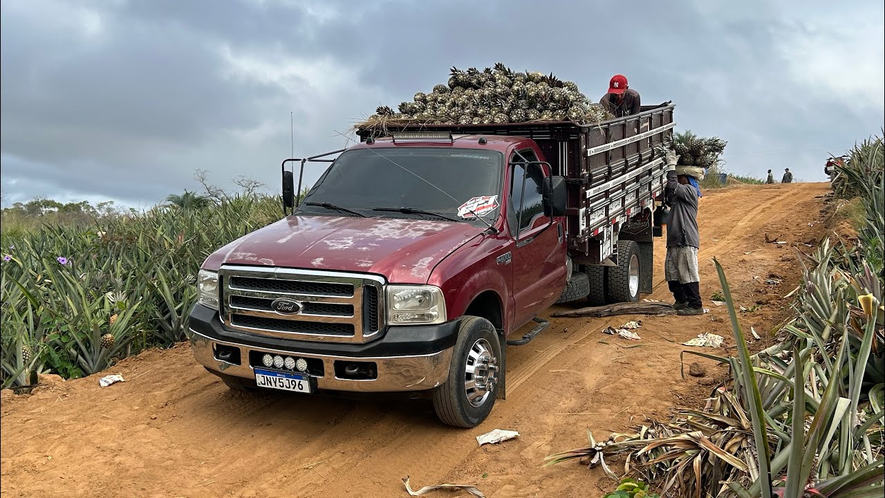 PUXANDO ABACAXI NA F4000 | CAMINHÃO NÃO SUBIU A LADEIRA? | 