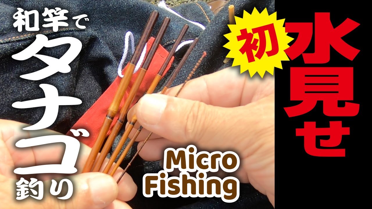 【和竿でタナゴ釣り】タナゴ竿  初水見せ　Tanago Fishing Wazao