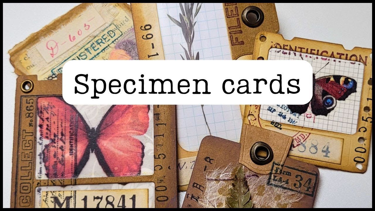 Specimen cards YOUR way!