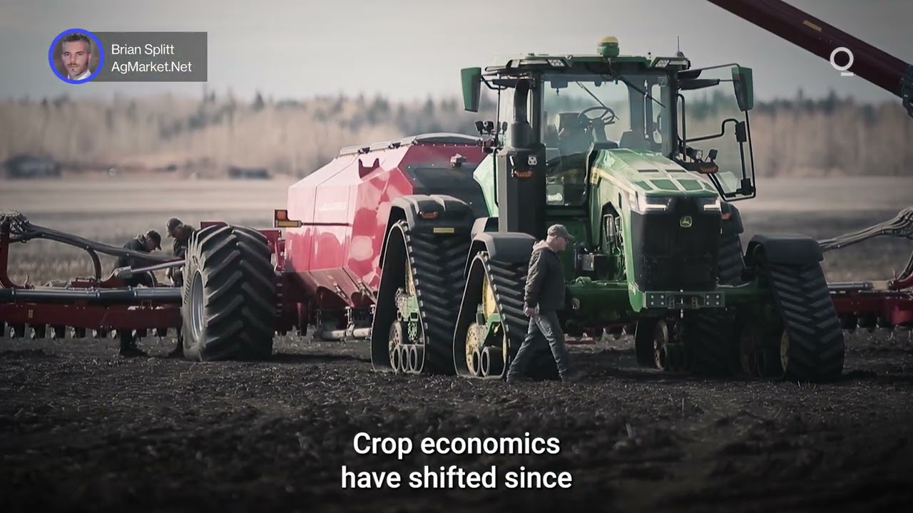 Could 2026 Be the Year of Soybeans? | Presented by CME Group