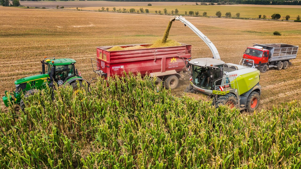 🌽Silaž 2024 | Claas Jaguar 990 | John Deere 6R 250 |  Tatra 815