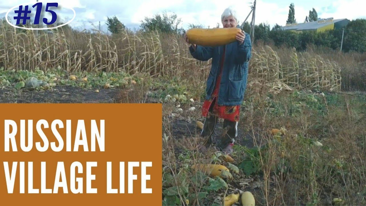 Village Life in Russia || How they store vegetables for Winters