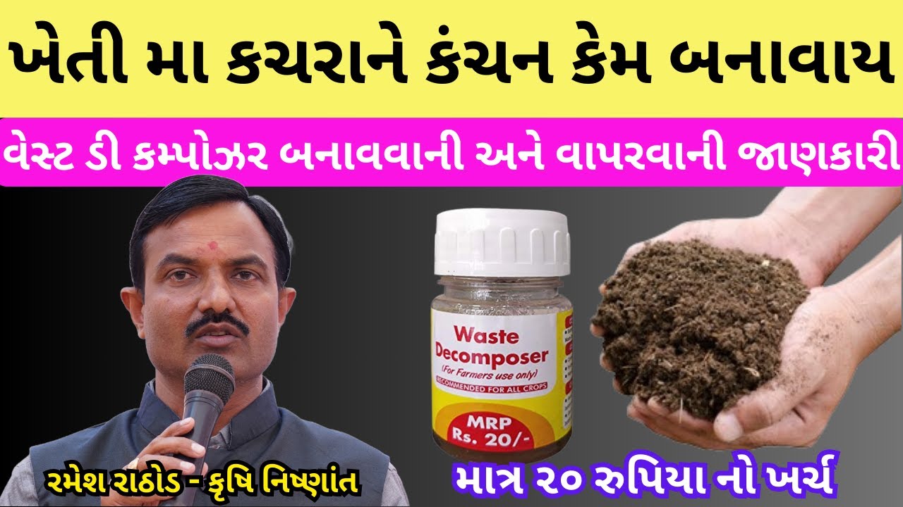 વેસ્ટ ડી કમ્પોઝર ની માહિતી | વેસ્ટ ડી કમ્પોઝર બનાવવાની પ્રક્રિયા | Waste Decoposer ni mahiti | Wheat
