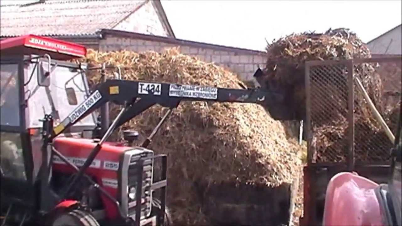 MF 255+tur i Ursus 6024+rozrzutnik w akcji 