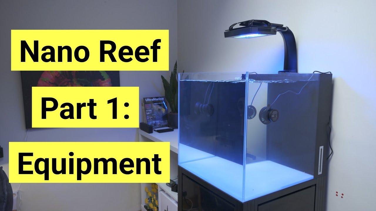 Setting Up A Nano Tank Part 1: Equipment You Need!