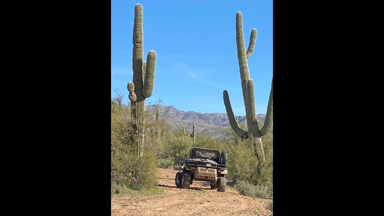 TOMCAR TM2 River Wash Run