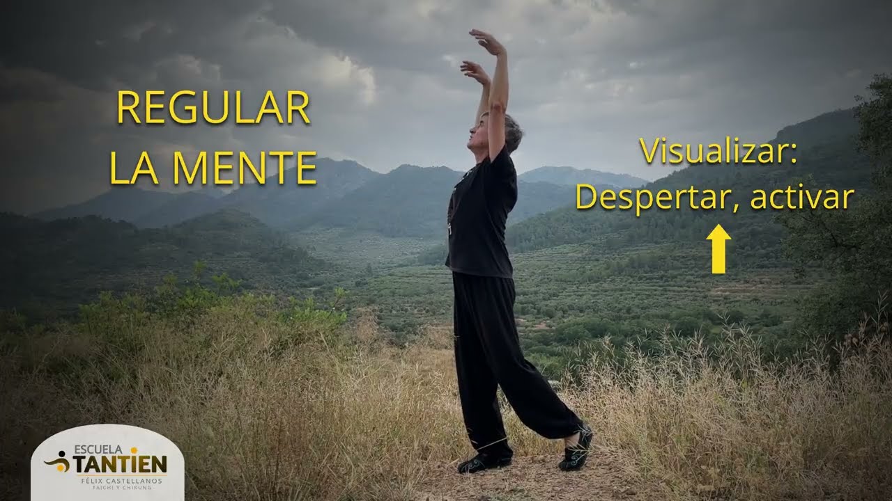 Qigong (Chikung) guiado paso a paso | EL GATO SE DESPEREZA &ndash; Escuela Tantien