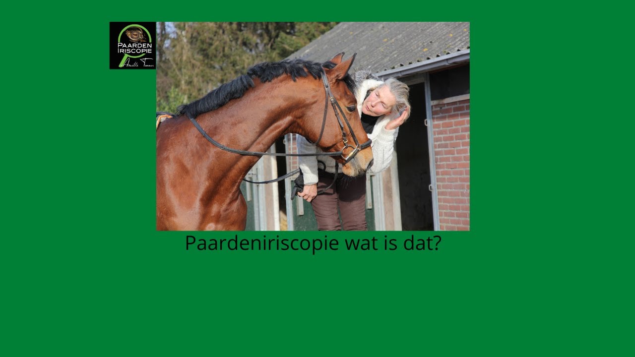 Paarden iriscopie wat is dat?  Gezondheid van je paard.  Paarden oog.