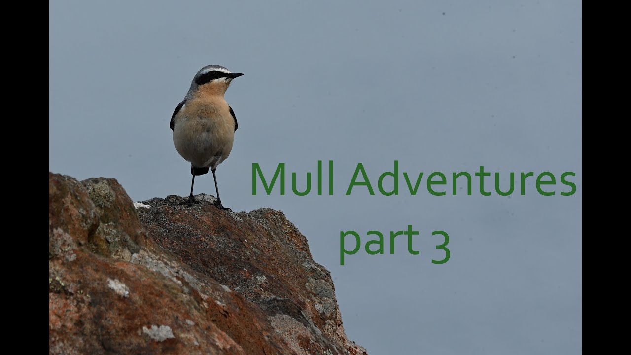 Mull Adventure part 3