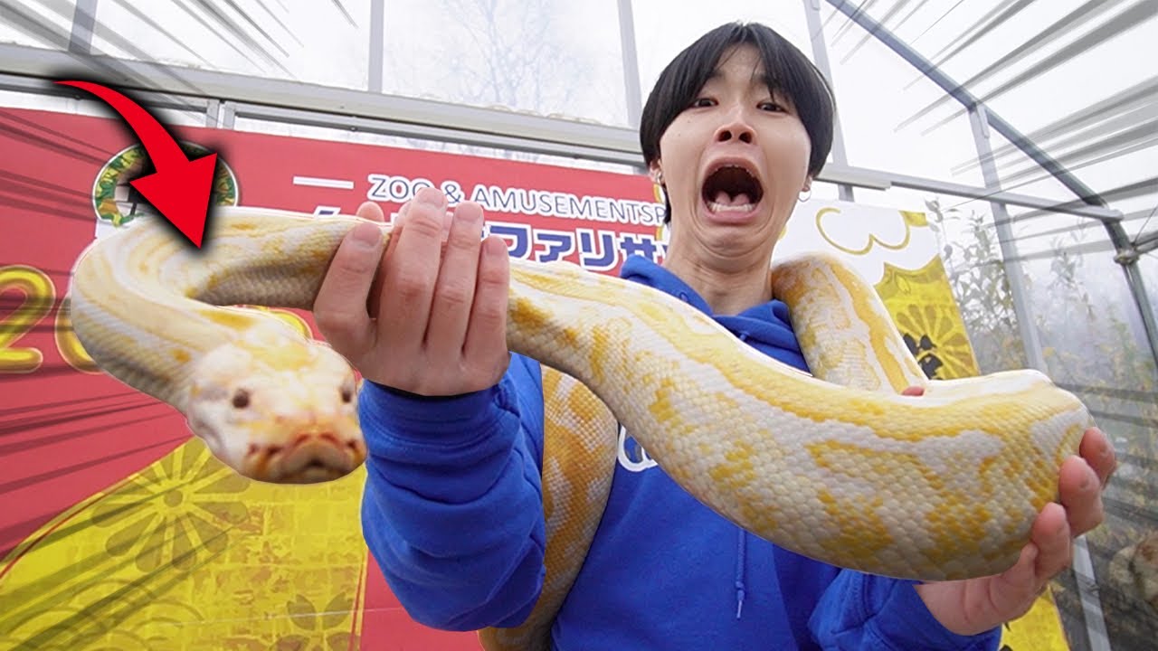 【閲覧注意】日本一危険な動物園で巨大ヘビに襲われました