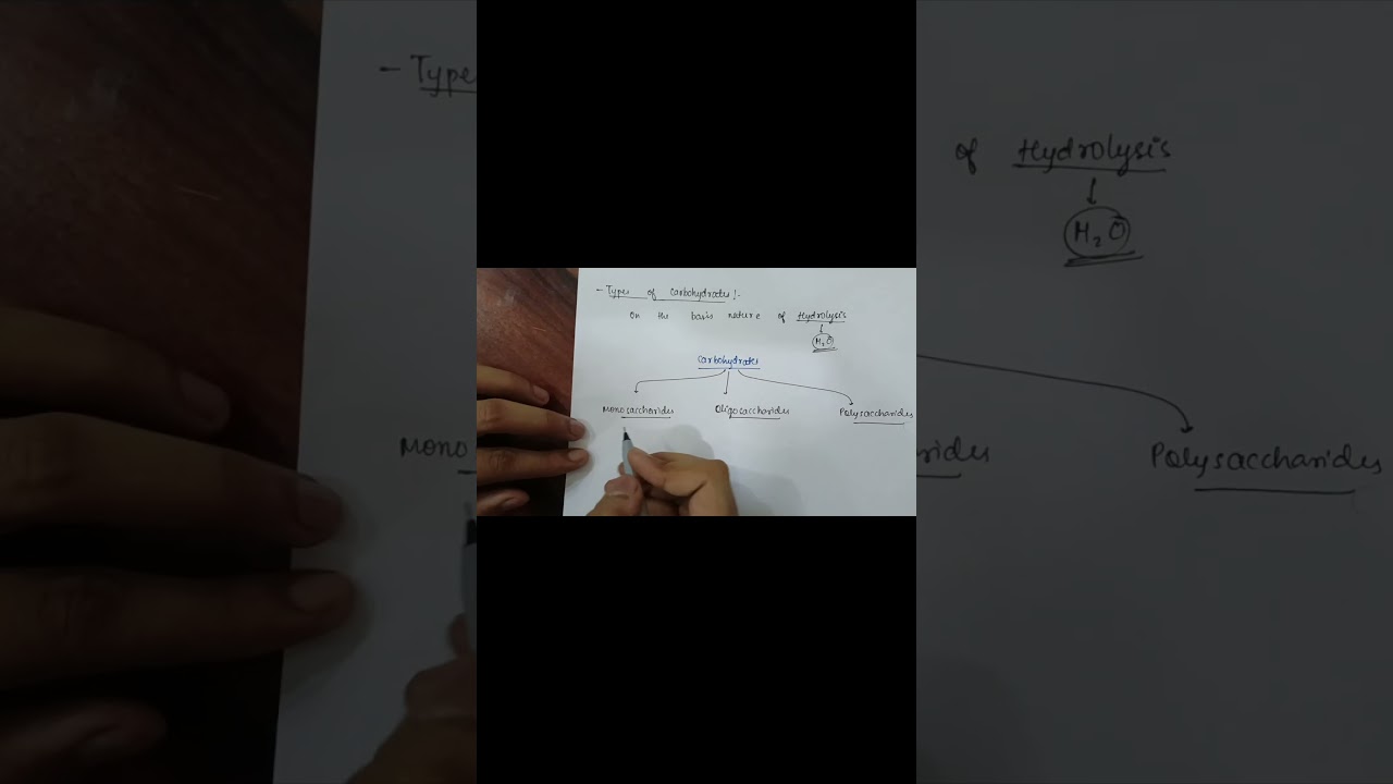 biomolecule basics, molecular biology 101, biochemistry fundamentals, cellular structures sem 2  du