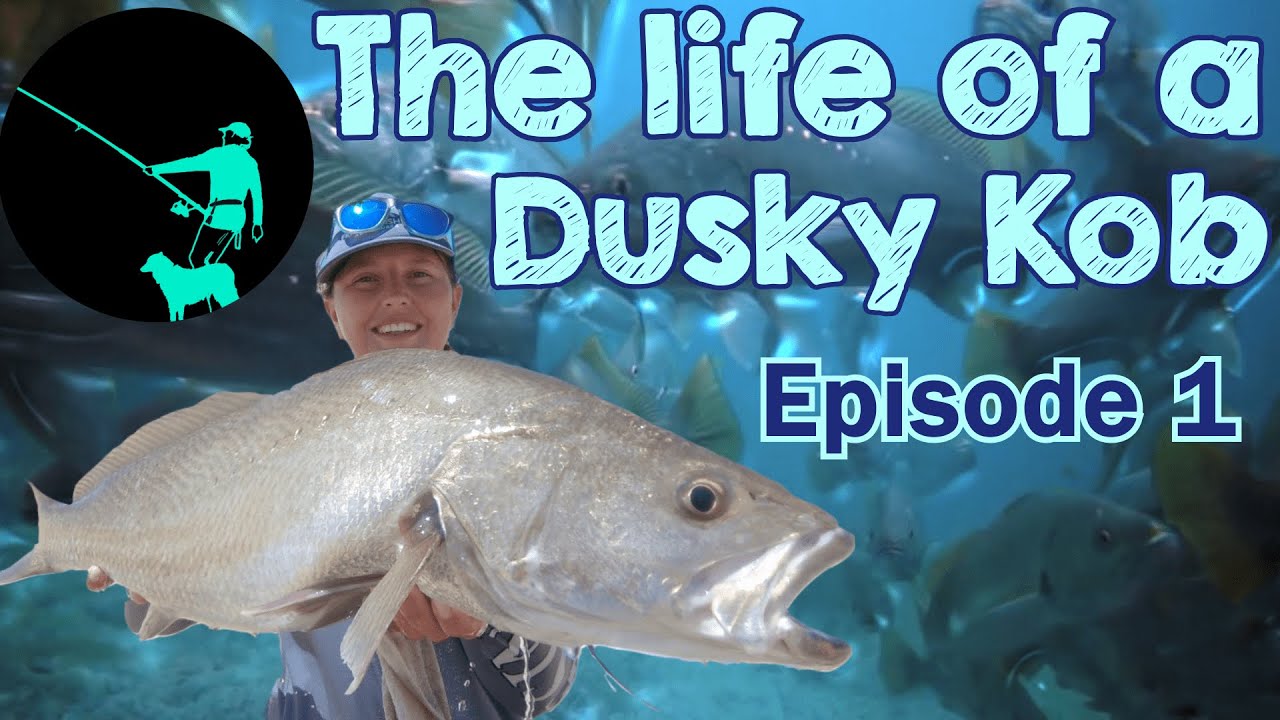Life of a Dusky Kob: Fishing for Dusky Kobs in Port Elizabeth