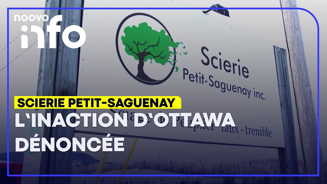 Fermeture de la scierie à Petit-Saguenay: Ottawa montré du doigt