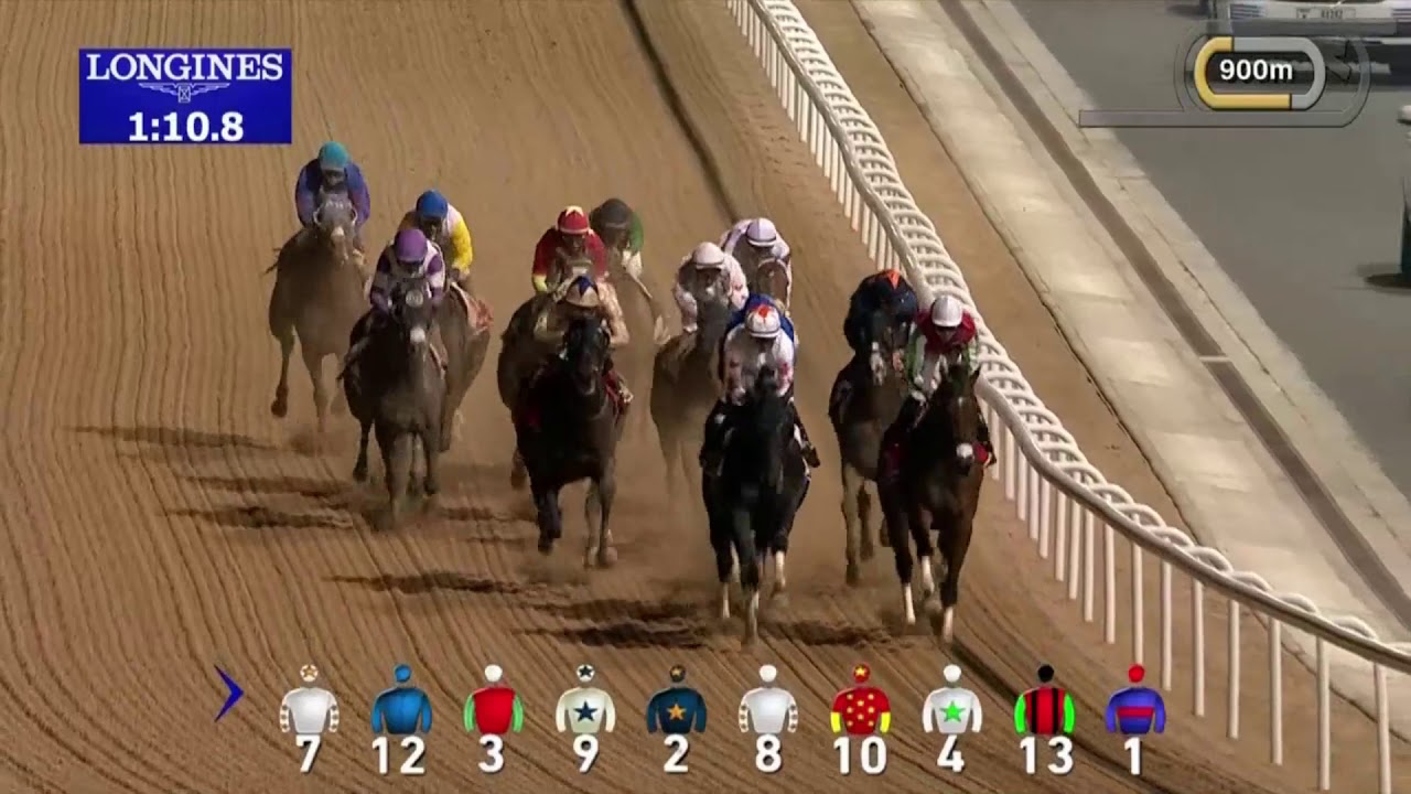 2019 Dubai World Cup International Group 1 2000m (Dirt)