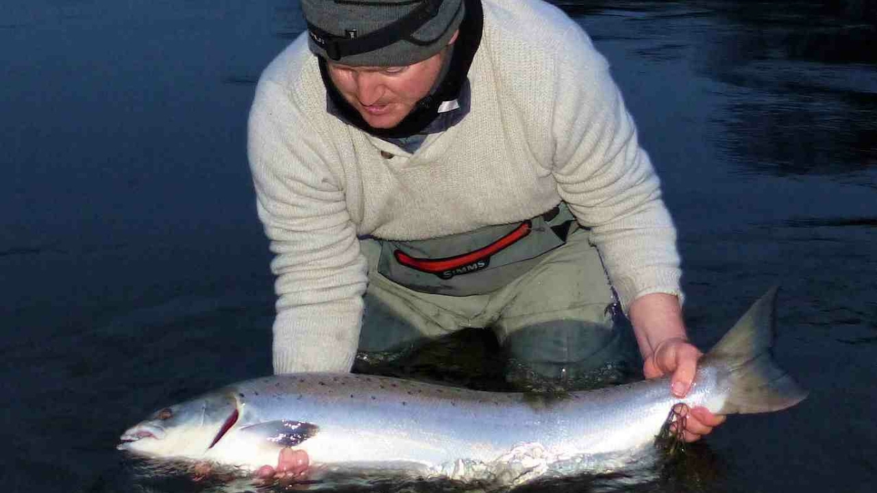 20lb Atlantic Salmon on the fly at Woodside Pool Hampshire Avon
