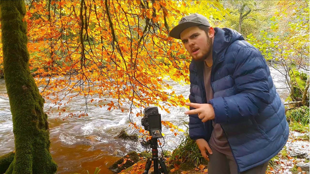 The Canon 90D Was So Great I Bought It Twice - Autumn Woodland Photography