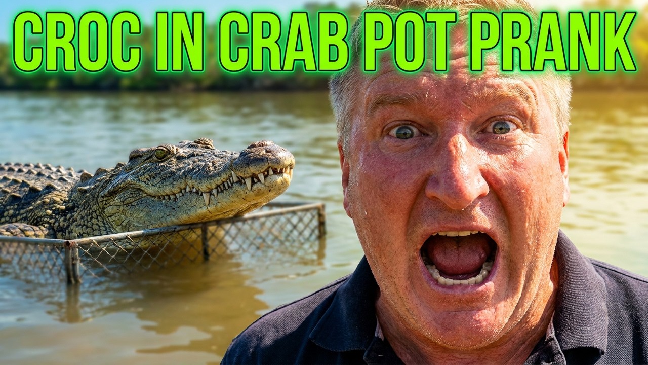 CROC IN CRAB POT PRANK  Featured on TOP 20 FUNNIEST TV