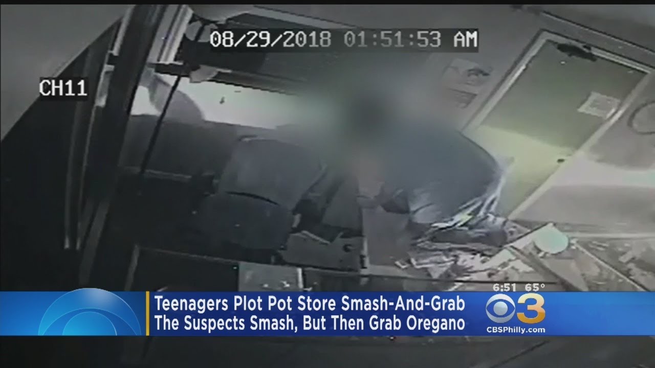 Teens Break Into Colorado Marijuana Shop But Get Away With Oregano, Say Police