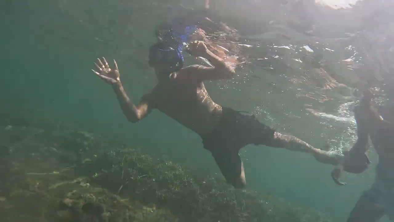 Down Under in Dauin Negros Oriental #BrianEnjoyingSimpleLife Snorkeling