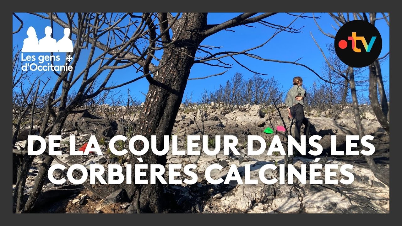 Dans les paysages calcinés des Corbières, l'artiste Valérie du Chéné, peint des pierres colorées.