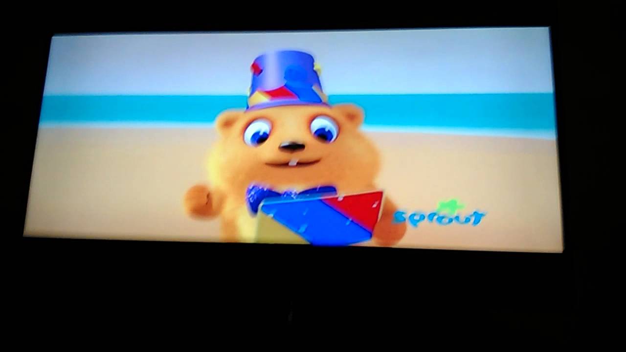 RuffRuff Tweet And Dave Beach Adventure