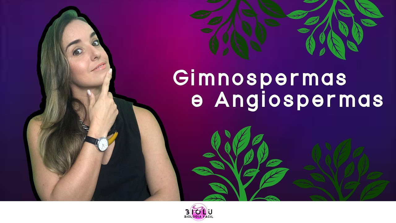 GIMNOSPERMAS E ANGIOSPERMAS - BOT&Acirc;NICA | Prof. Louise Medeiros