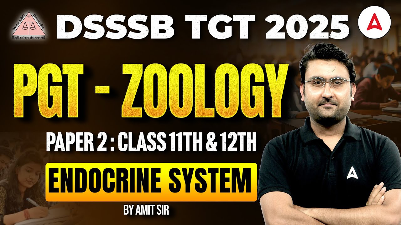 DSSSB TGT/PGT 2025 Biology Classes | DSSSB TGT/PGT Zoology | DSSSB Biology Endocrine System