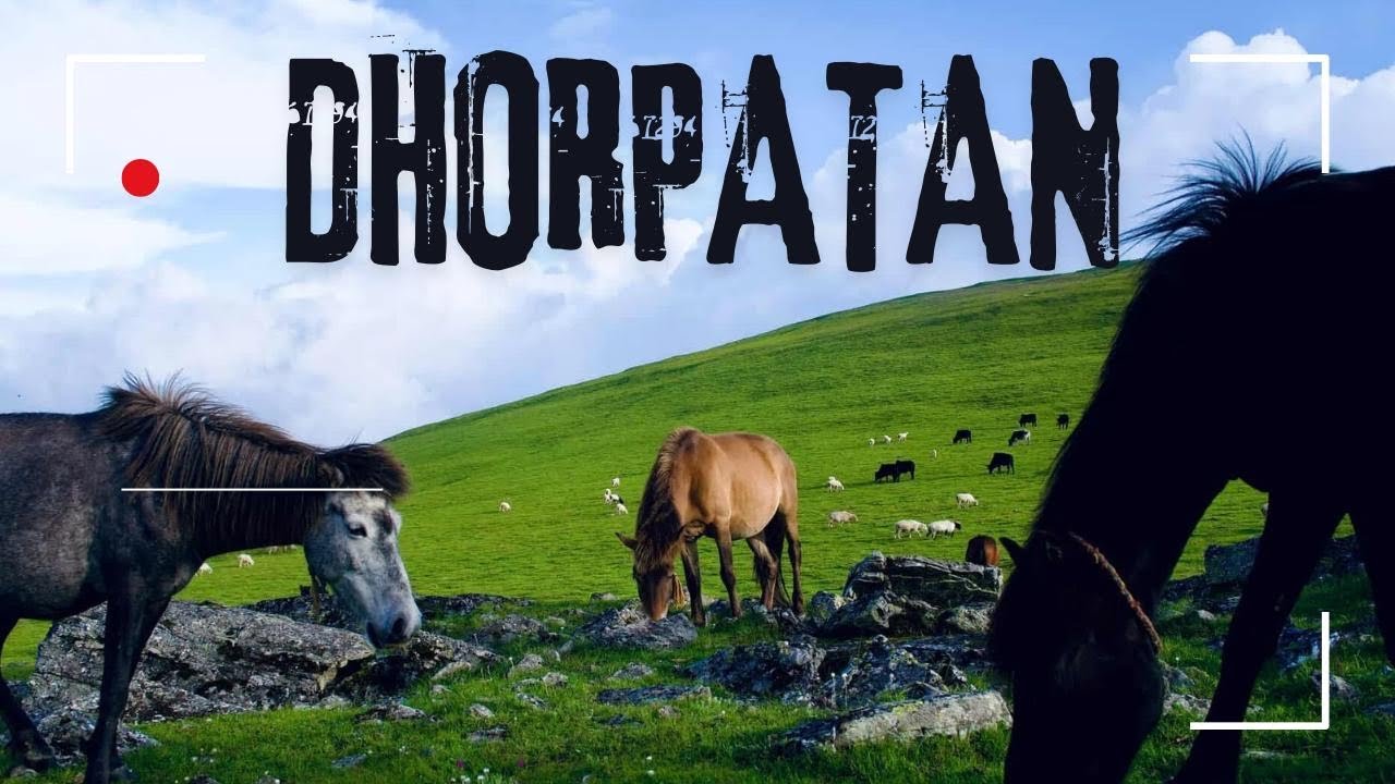 Dhorpatan to Buki & Tikadhara #fy #travel #vlog #fy #monsoon 