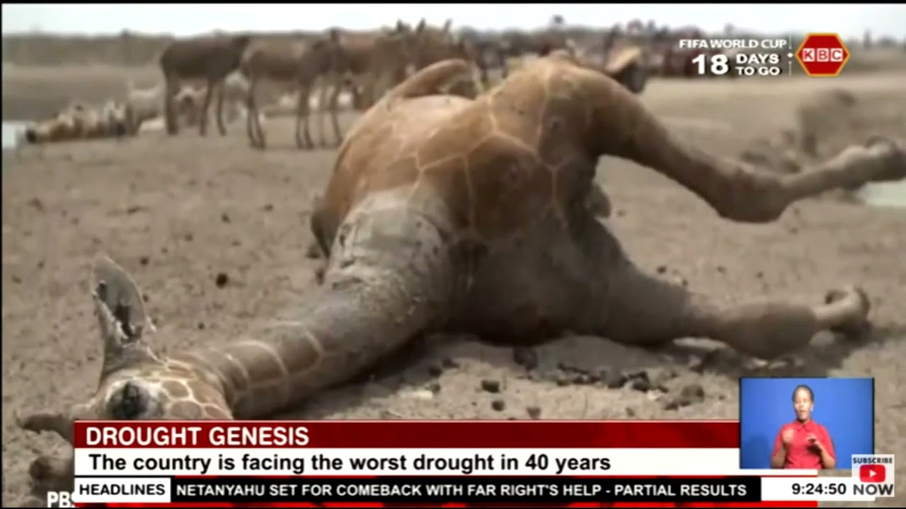 Drought genesis | Kenya is facing te worst drought in more than 40 years