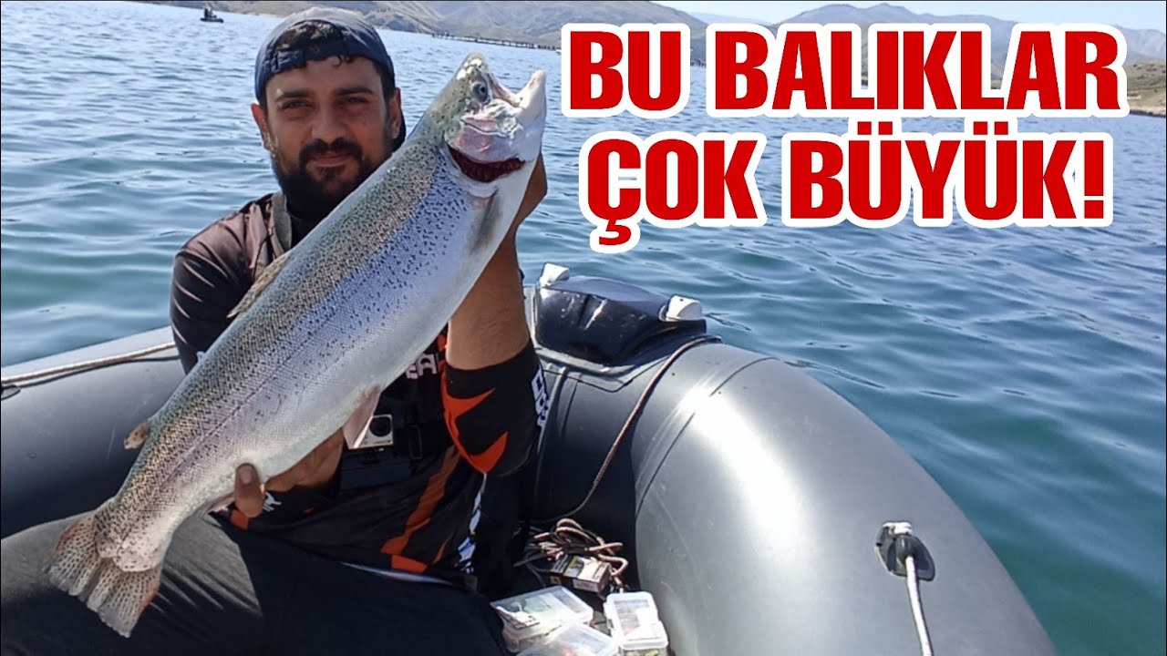 Bu Balıklar Çok Büyük ! / Somon Avı