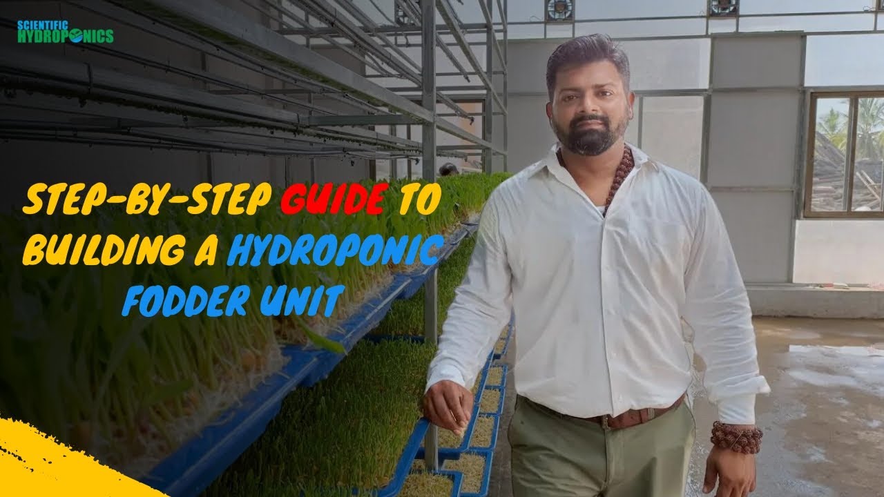 Step-by-Step Guide to Building a Hydroponic Fodder Unit | ashwin sawant |  #hydroponicfarming