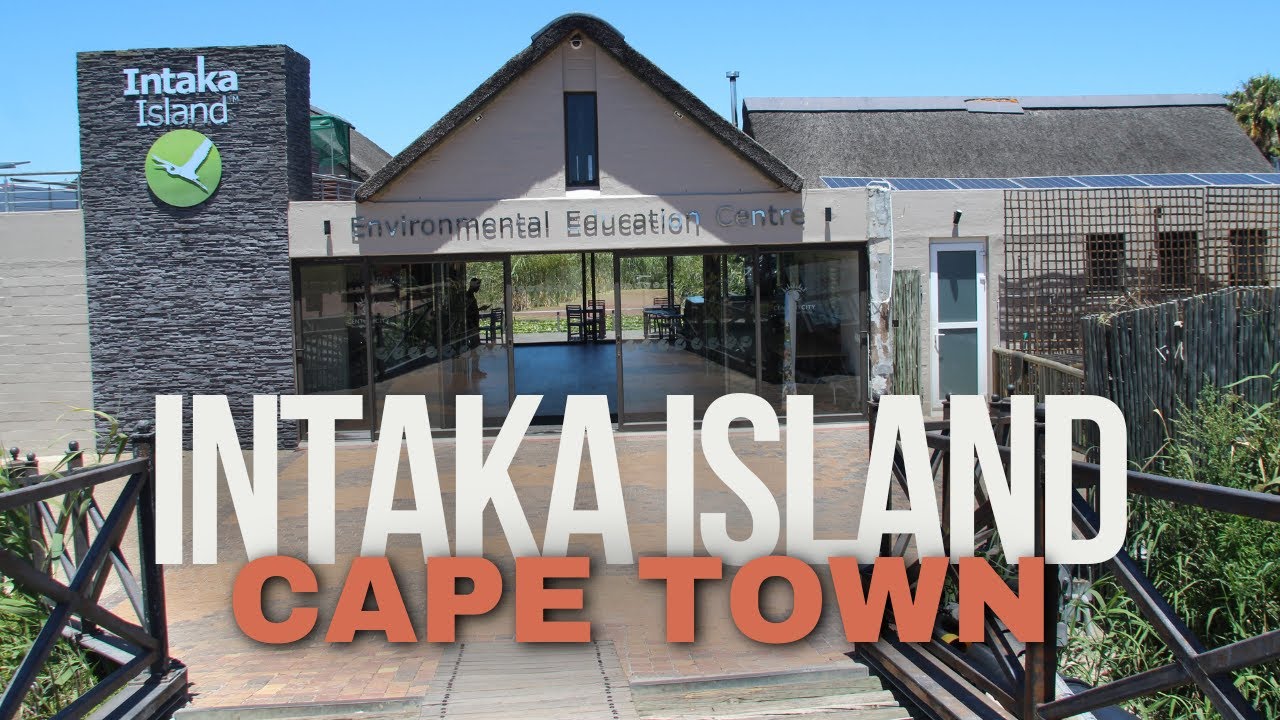 Intaka Island Century City | Boat Cruise, Bird Watching & Scenic Paths